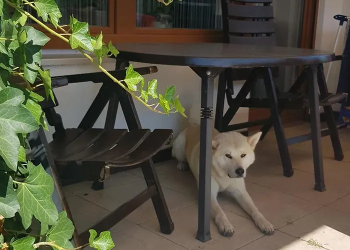Zu Besuch Bei Maria - Einzimmerwonung Mit Kitchenette Und Badezimmer Ubytování v soukromí *